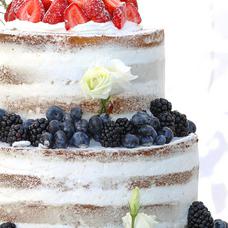 Sample wedding cake #11